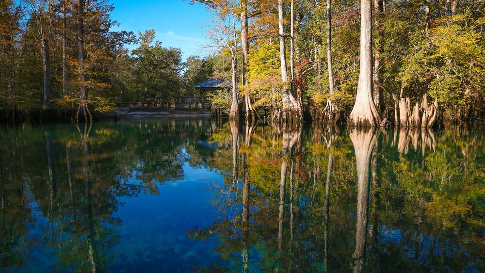 Florida freshwater springs landscape at Morrison Springs