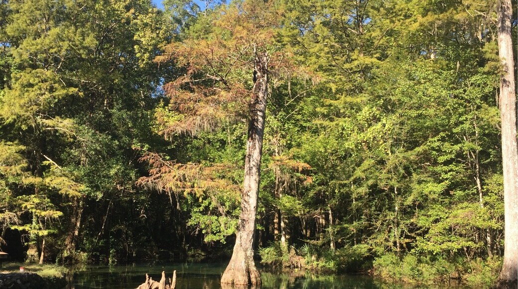 "Crystal" does not begin to describe it...