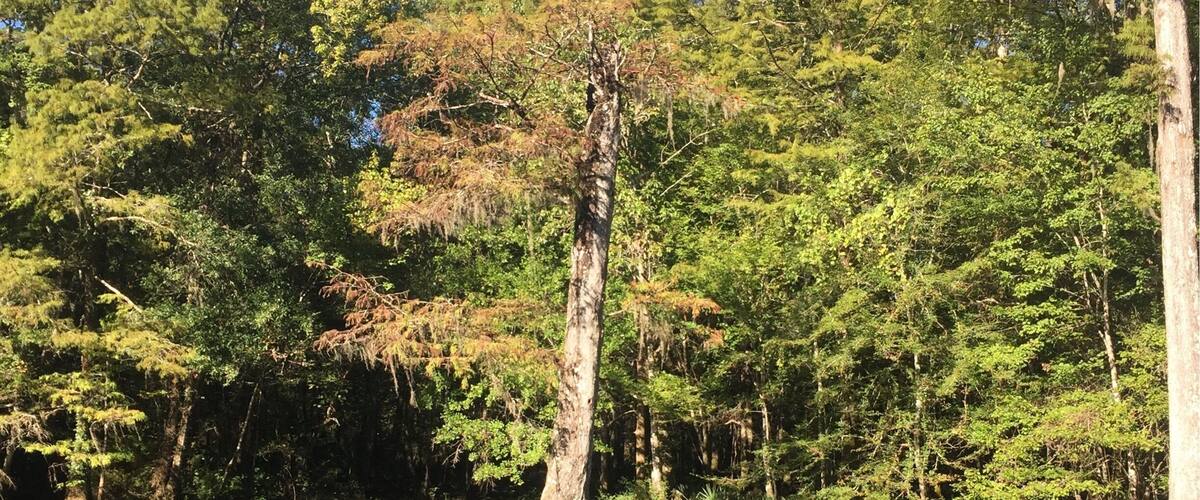 "Crystal" does not begin to describe it...