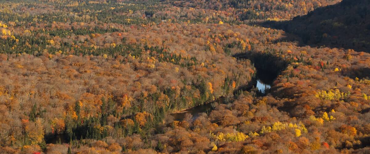 A valley with autumn foliage, a river, and distant hills.