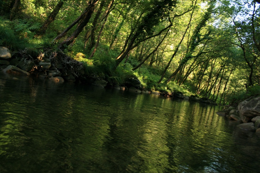 Rio Oitaven cerca de Fornelos