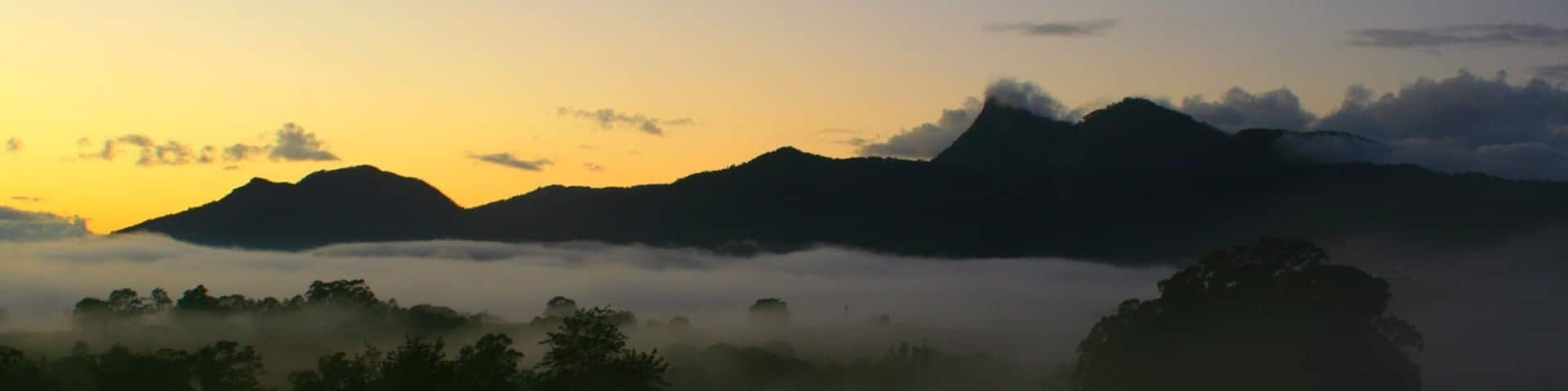 Another early morning view to Mt Warning. It was a hard climb, Mt Warning, but worth it. #weekendgetaway #hiking