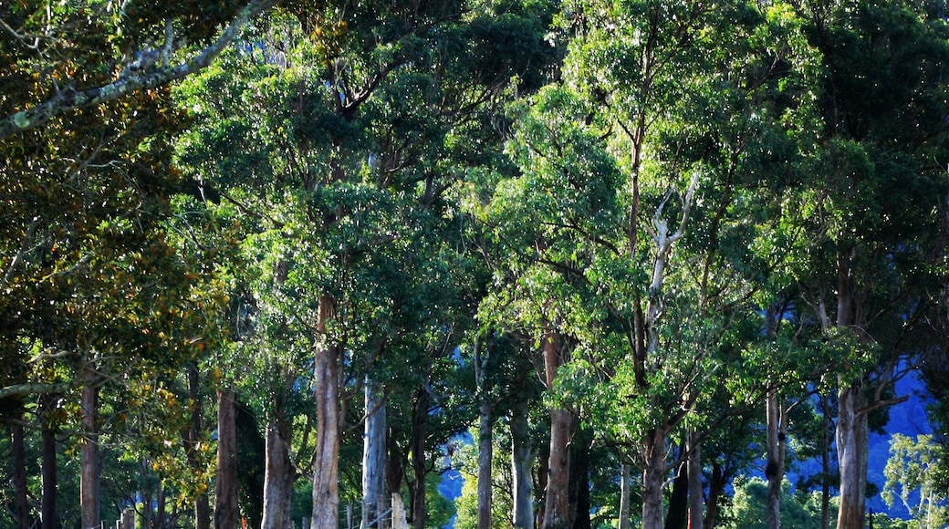 We had a lovely couple of days on this cattle property in Tyalgum. We had the fire going, perfect red wine weather with a fantastic view to Mt Warning. #weekendgetaway #colorful