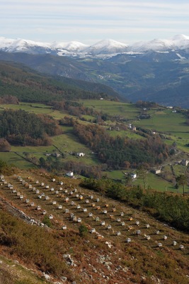 Occidente Astur