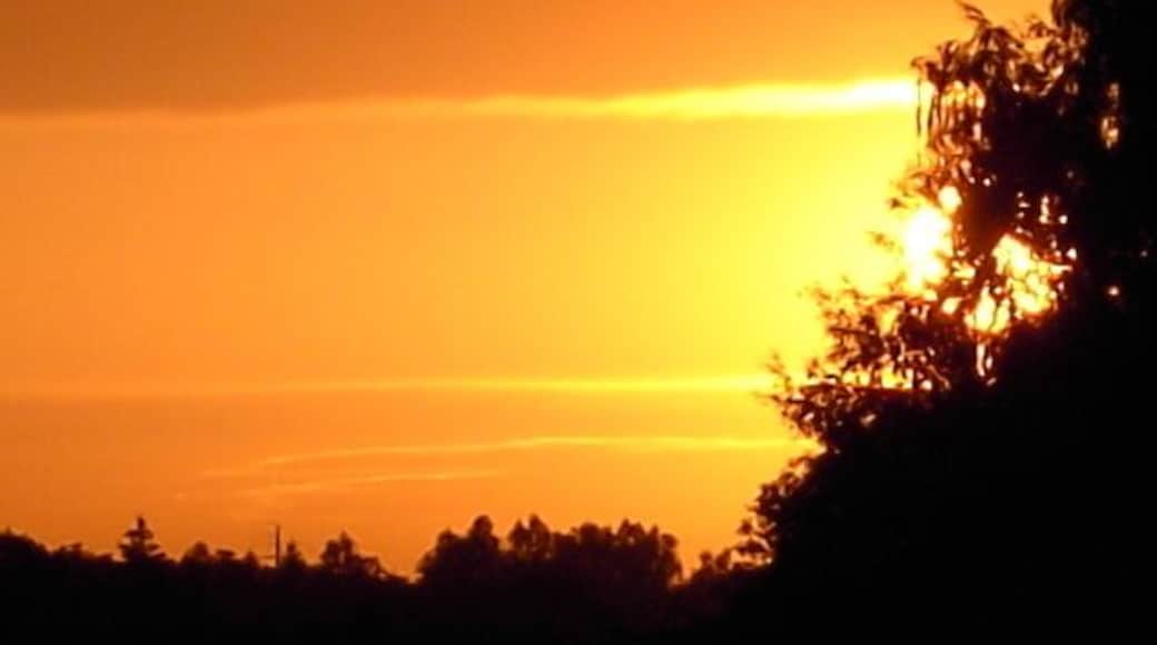 Blick von der Nordendstr. 16 in Geisenfeld