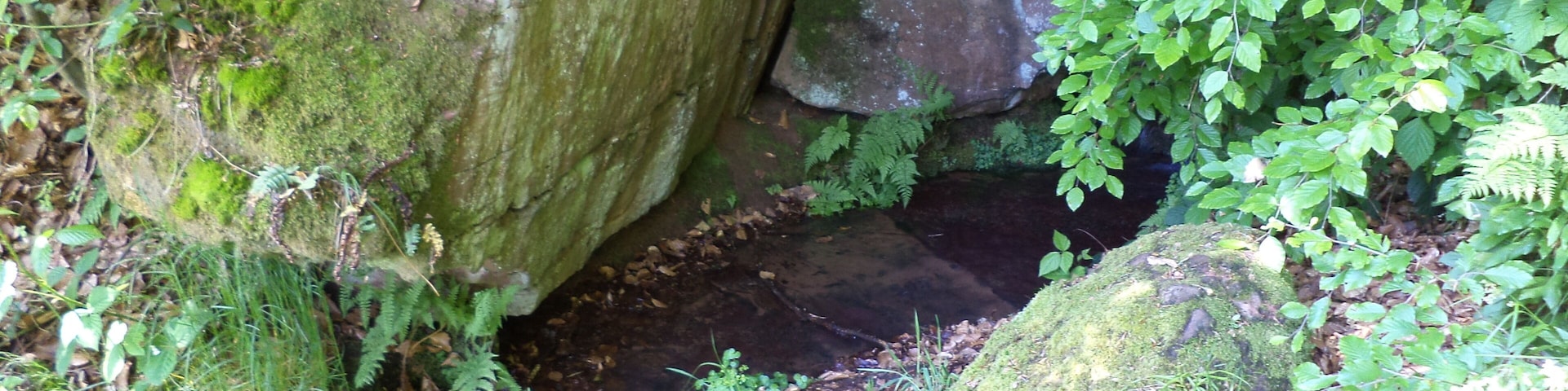 Der Quellaustritt der Zittenfeldener Quelle (ND) im Mai 2013