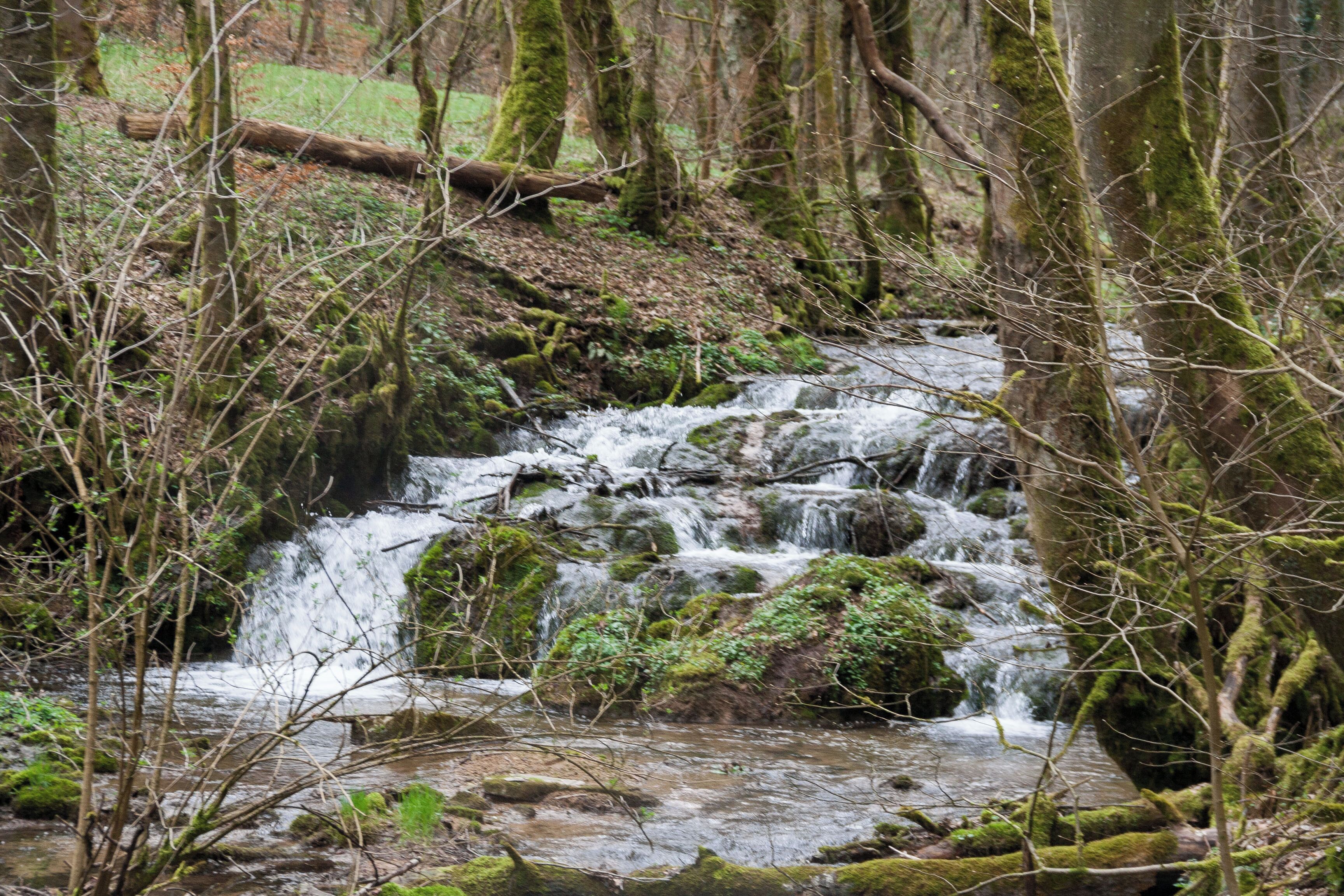 Landschaftsschutzgebiet Rohrenstädter Bachtal, Oberrohrenstadt, Berg bei Neumarkt