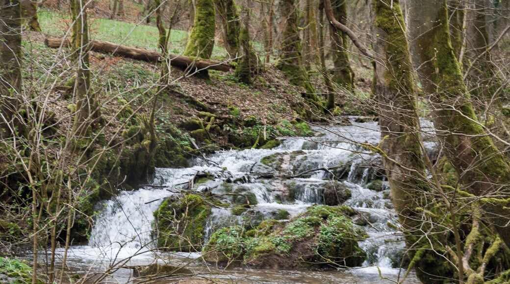 Landschaftsschutzgebiet Rohrenstädter Bachtal, Oberrohrenstadt, Berg bei Neumarkt