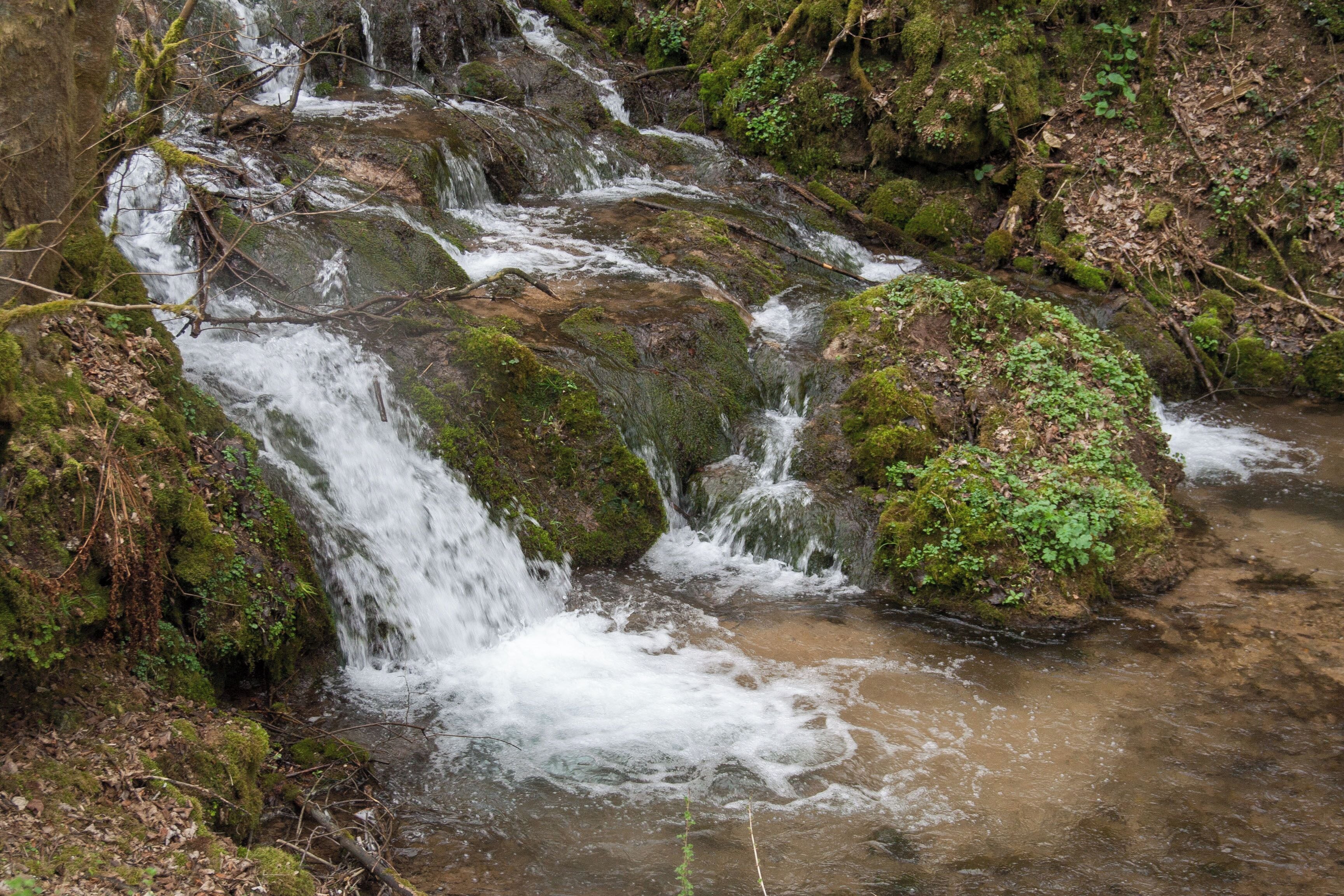 Landschaftsschutzgebiet Rohrenstädter Bachtal, Oberrohrenstadt, Berg bei Neumarkt