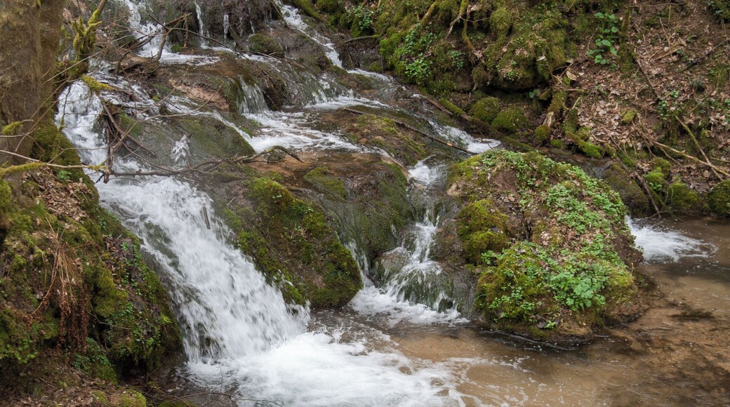 Landschaftsschutzgebiet Rohrenstädter Bachtal, Oberrohrenstadt, Berg bei Neumarkt
