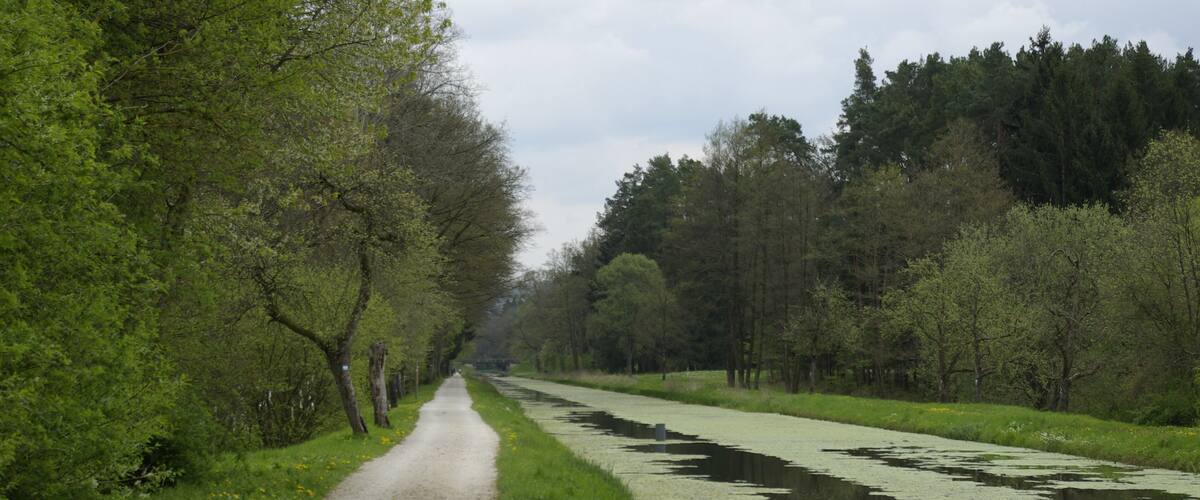 A narrow dirt path flanked by lush greenery and a canal with water lilies.