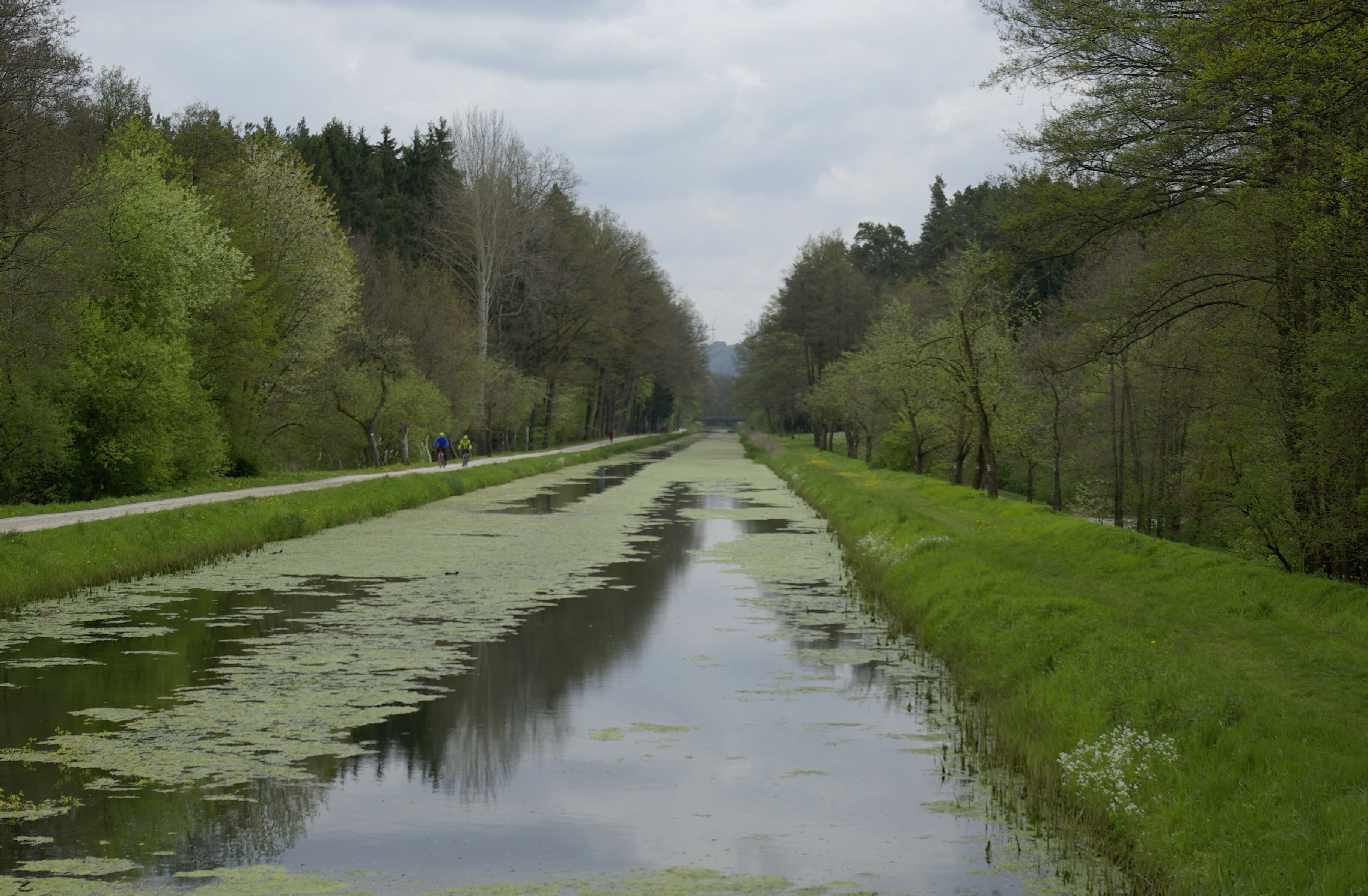 Ludwig-Donau-Main-Kanal von der Straße Richtheim-Beckenhof (Gemeinde Berg bei Neumarkt in der Oberpfalz) in Richtung Süden.