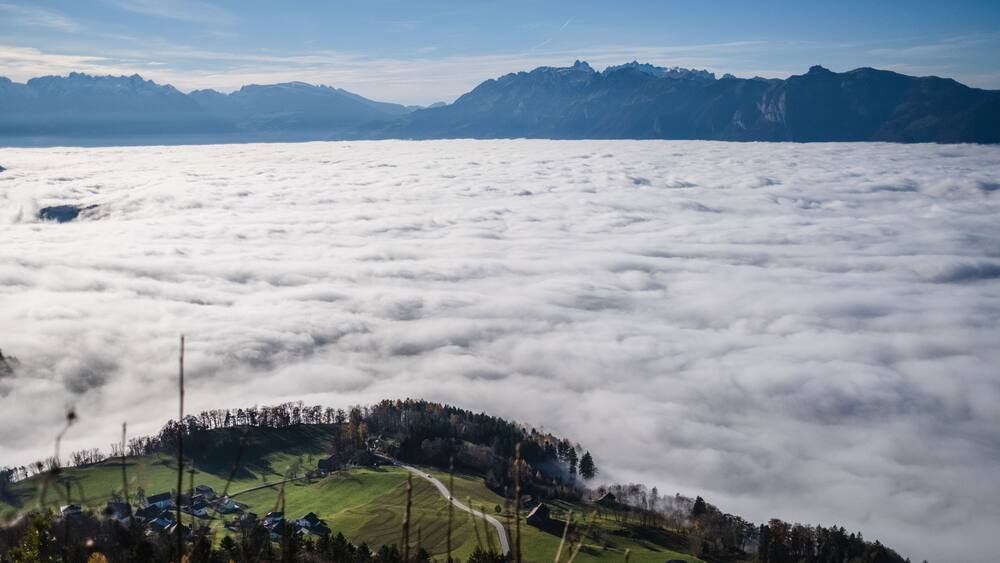 Blick vom Aussichtspunkt in Furx ĂŒber das Nebelbedeckte Rheintal.