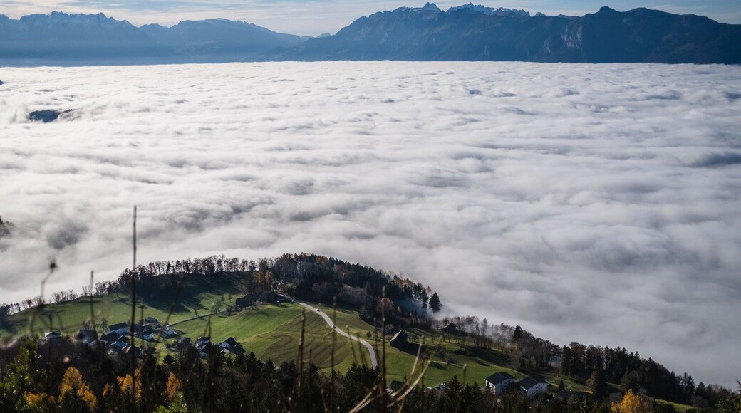 Blick vom Aussichtspunkt in Furx über das Nebelbedeckte Rheintal.