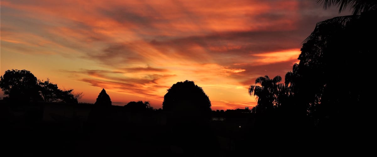 A sunset with a vibrant sky and silhouettes of trees and buildings.
