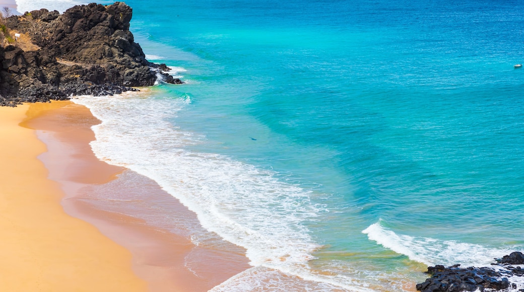 Incredible view of a shark swimming off the beach of Praia do Bode on the island of Fernando de Noronha, Brazil. A tourist surfing on this beach was recently bitten by a shark.