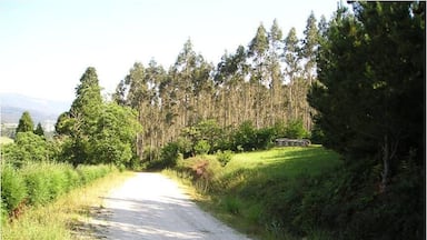 Paso sobre camino de tierra.