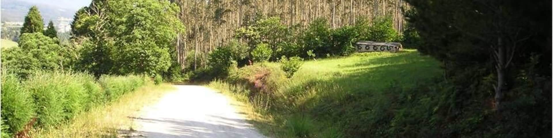 Paso sobre camino de tierra.