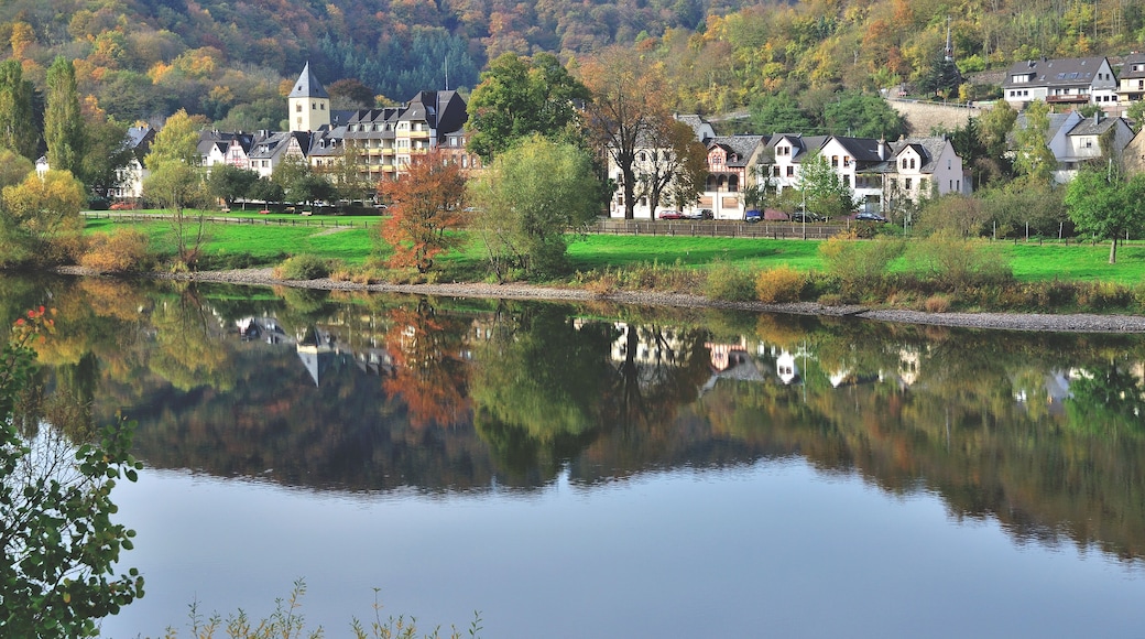 Herbst in Weinort Moselkern im Moseltal,Rheinland-Pfalz,Deutschland