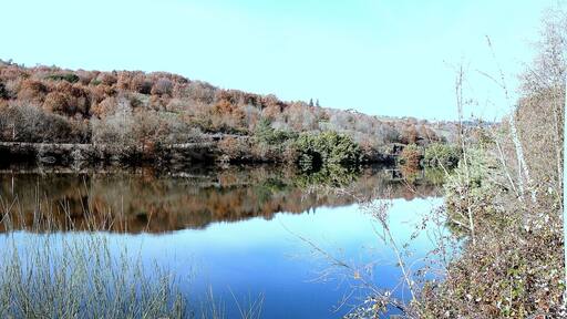 Reflejos en el Miño