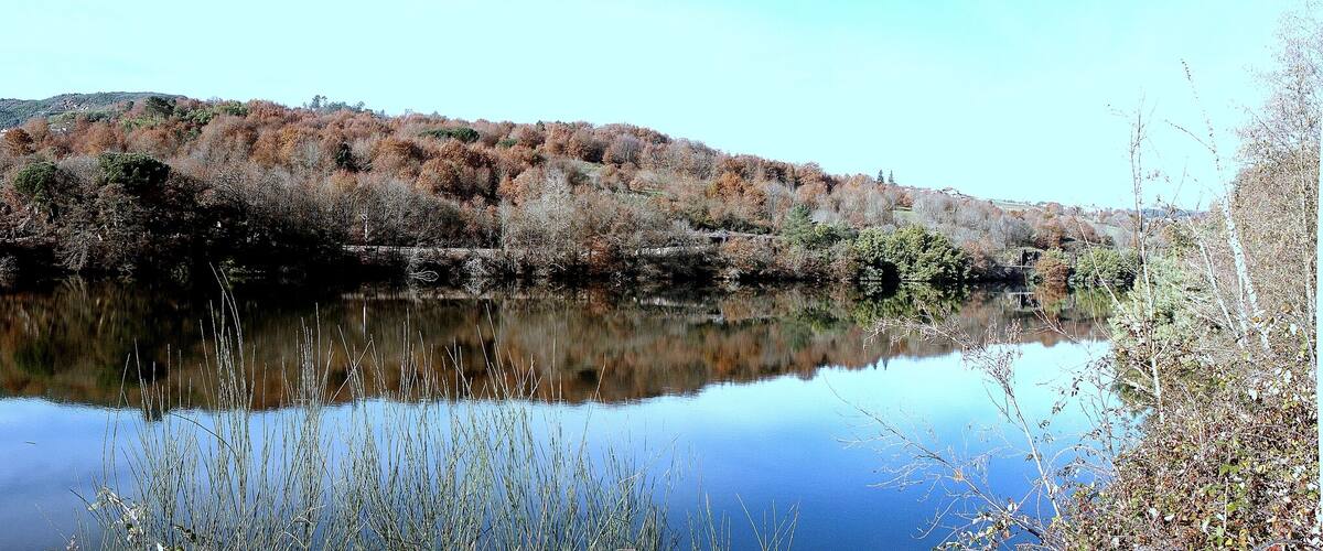 A calm lake with a forested island reflecting in the water.