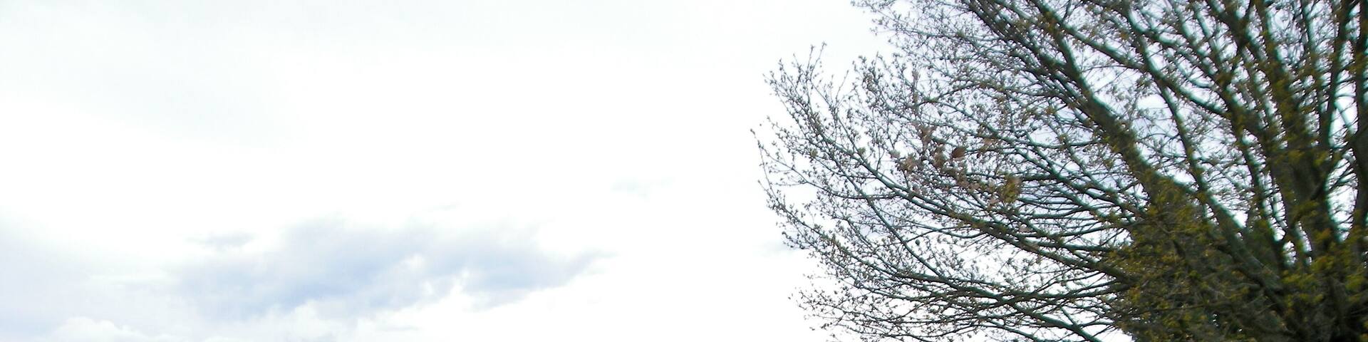 Casa da Torre en Prexigueiró.