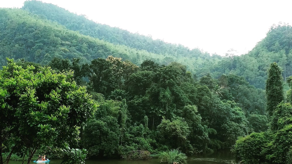 Kitulgala is popular for white water rafting