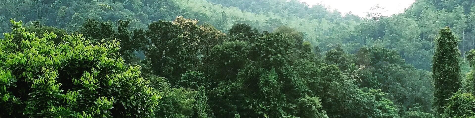 Kitulgala is popular for white water rafting