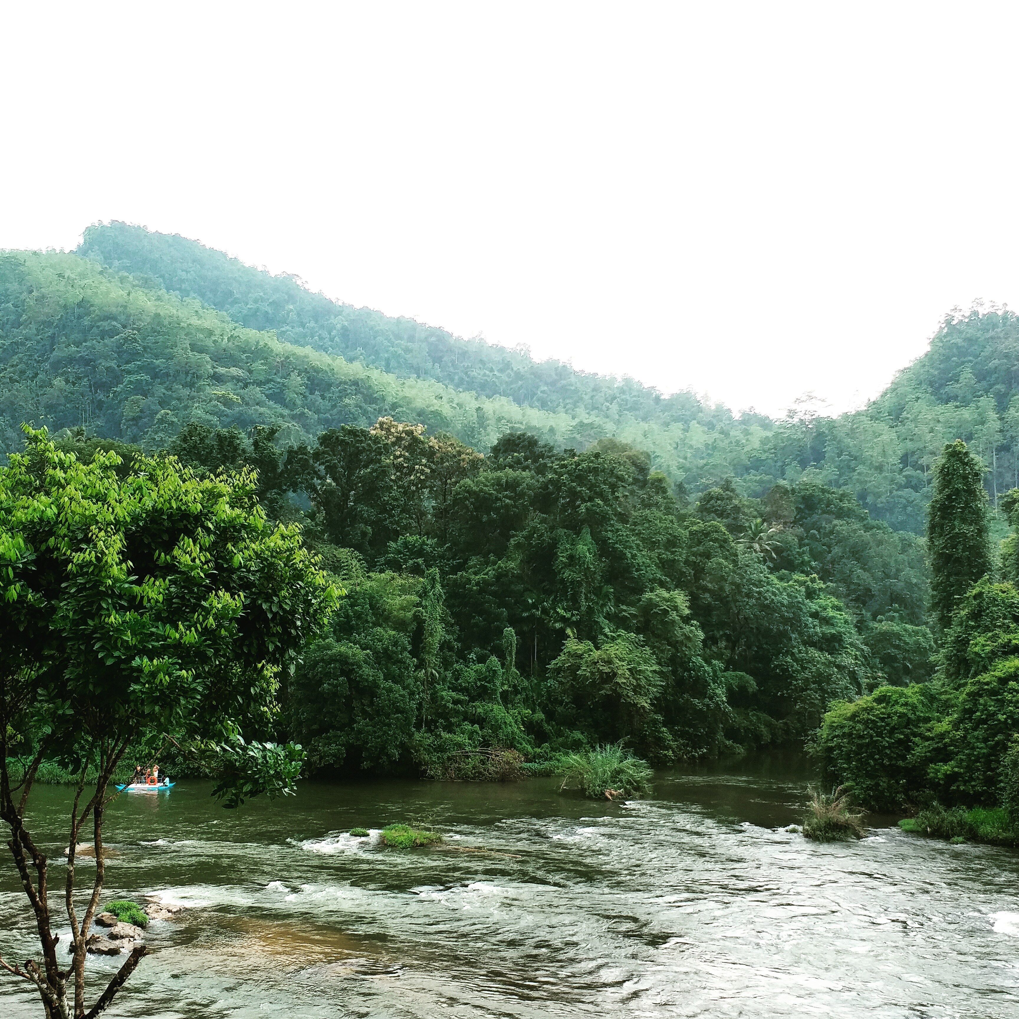 A river flowing through a dense forest with a boat in the water.