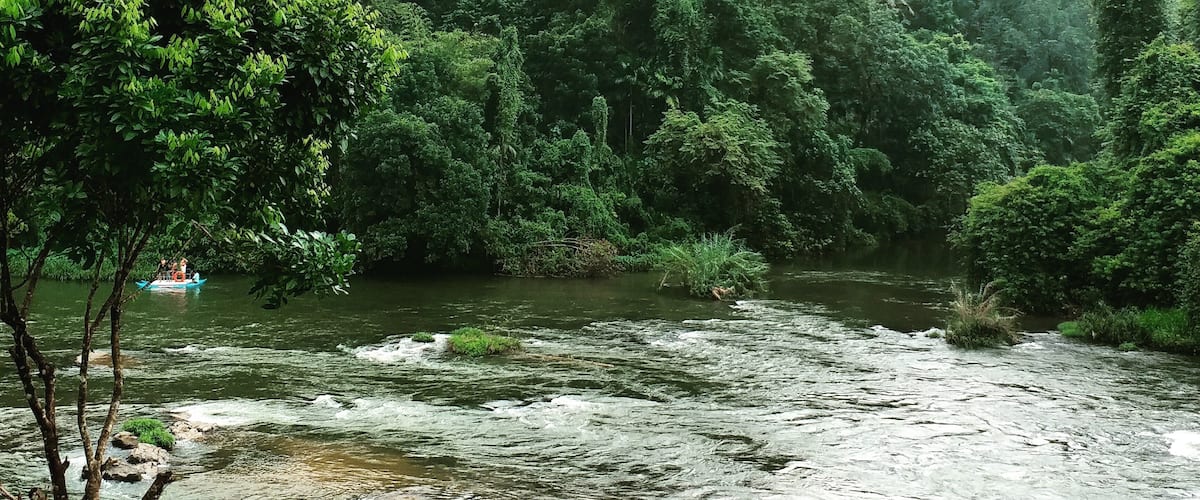 A river flowing through a dense forest with a boat in the water.
