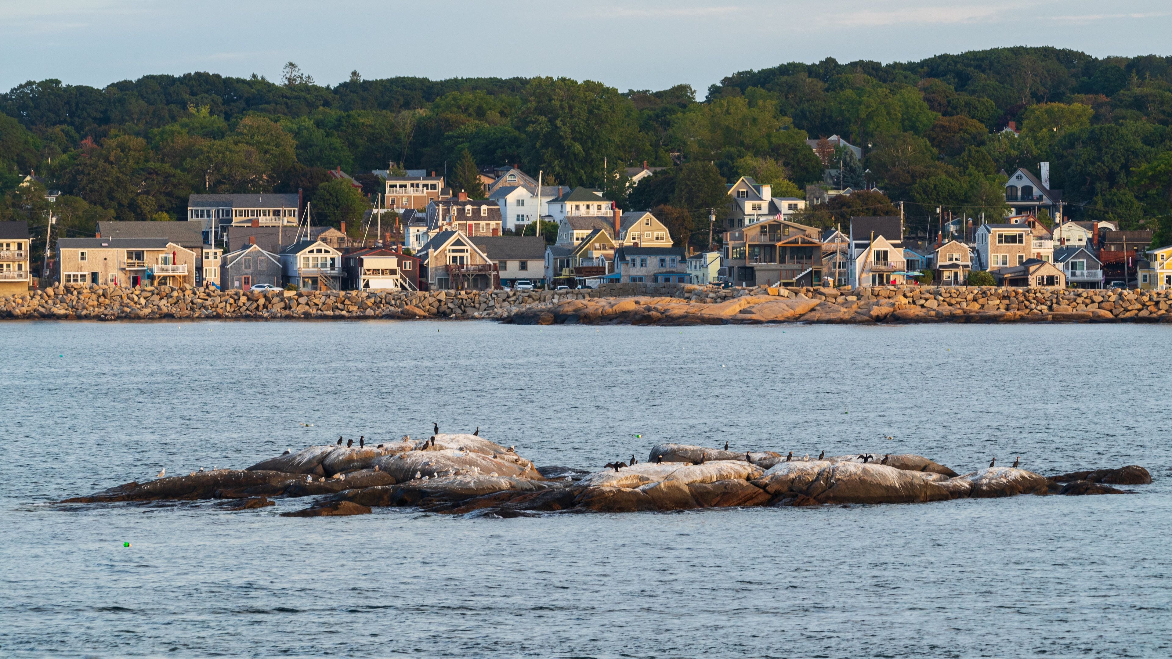 Rockport which includes a coastal town, island views and bird life