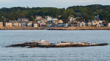 Rockport which includes a coastal town, island views and bird life