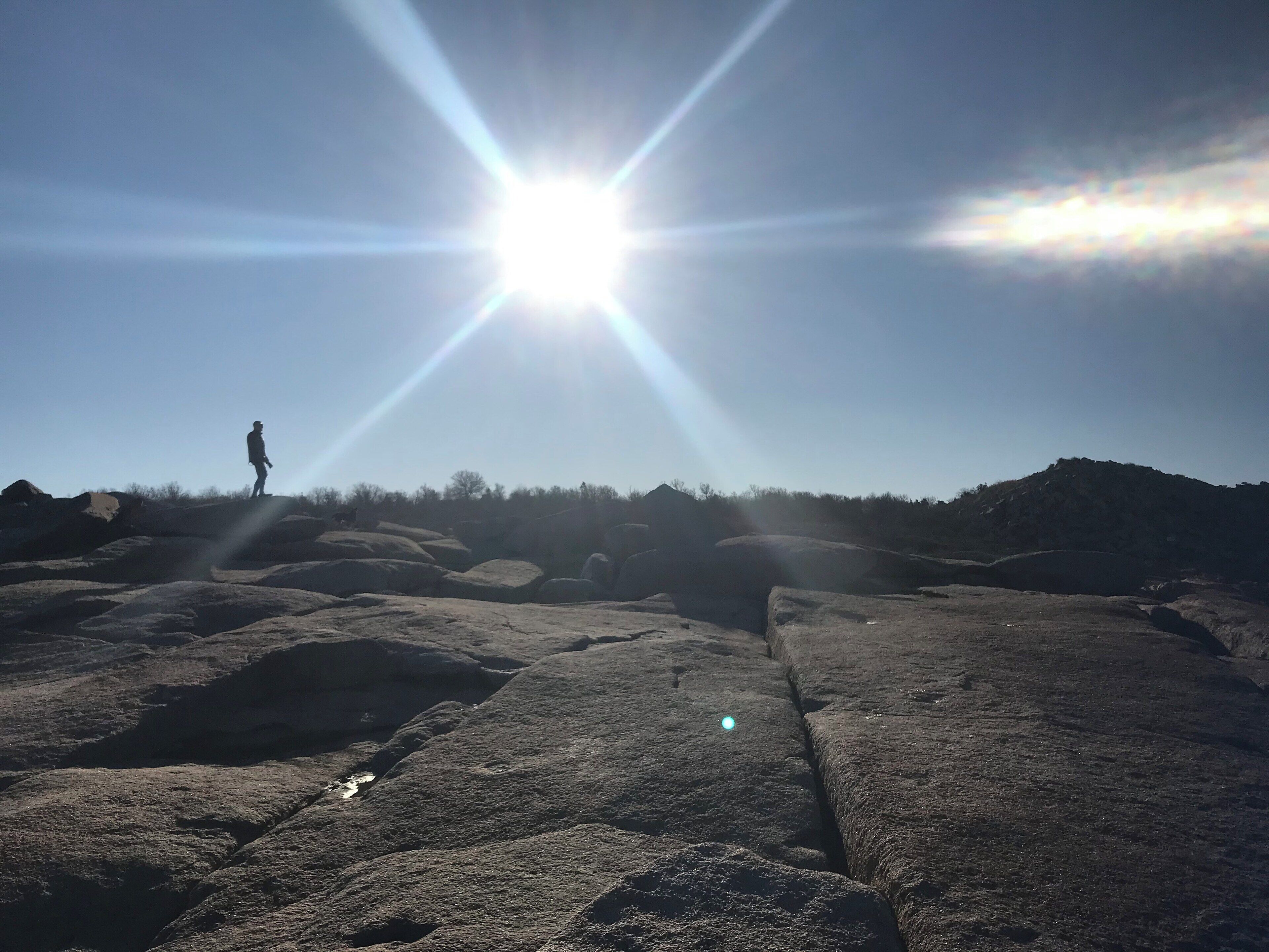 Enjoyed a nice walk around halibut point.