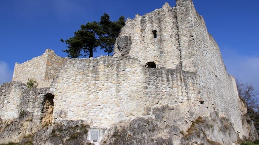 Burgruine Lichtenegg