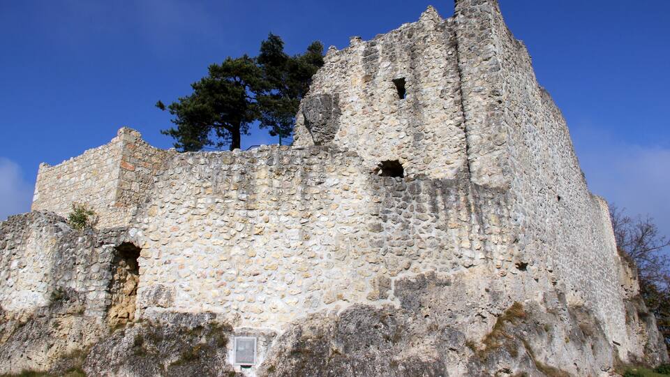 A stone castle with a large tree in the background.