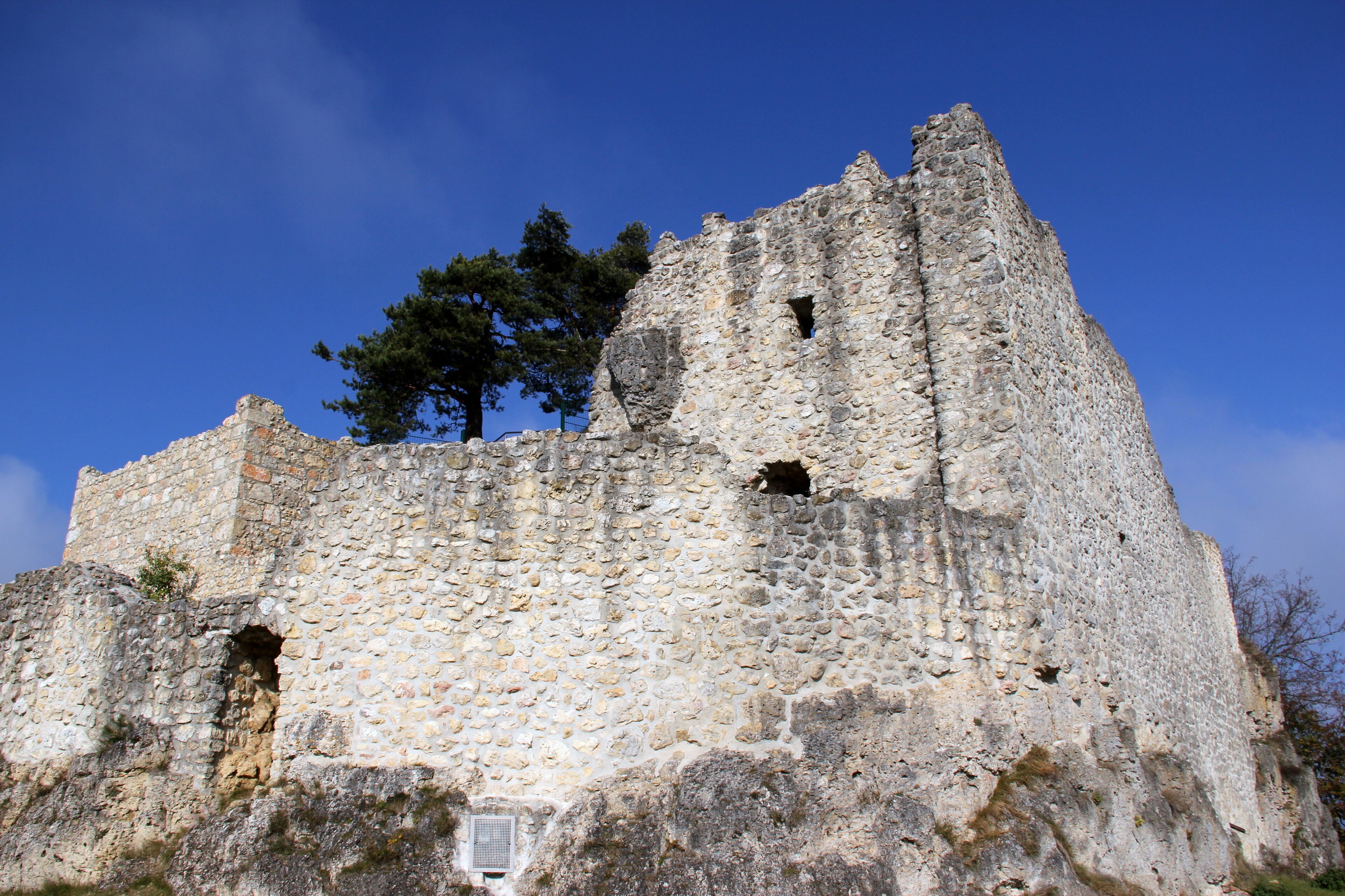 A stone castle with a large tree in the background.