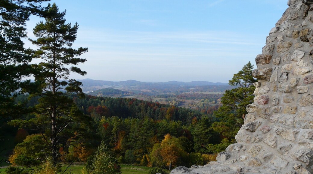 Ruine Lichtenegg Blick nach Norden