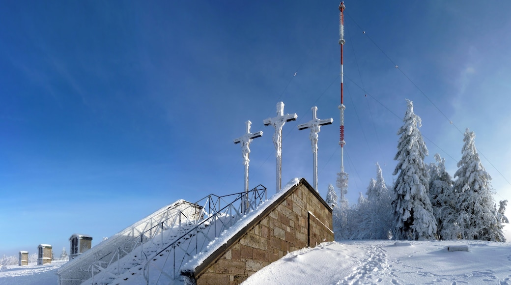 Der Kreuzberg, mit 928 Meter über Normalnull der höchste Berg im bayerischen Teil der Rhön, bei minus zehn Grad Celsius Lufttemperatur und etwa zwanzig Zentimeter Schnee. Im Hintergrund der Sender Kreuzberg, ein 1985 erbauter, 208 Meter hoher Stahlrohrmast. Vorne die zwölfte Station des im Jahr 1710 entstandenen Kapellenkreuzweges, dem vermutlich ältesten Kapellenkreuzweg in Deutschland. Links davon die Stationen neun bis elf.