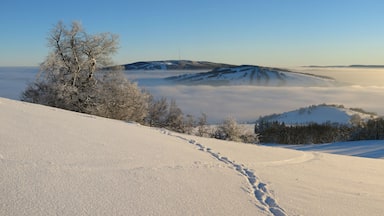 A snow-covered landscape with a clear sky, a tree, and distant mountains.