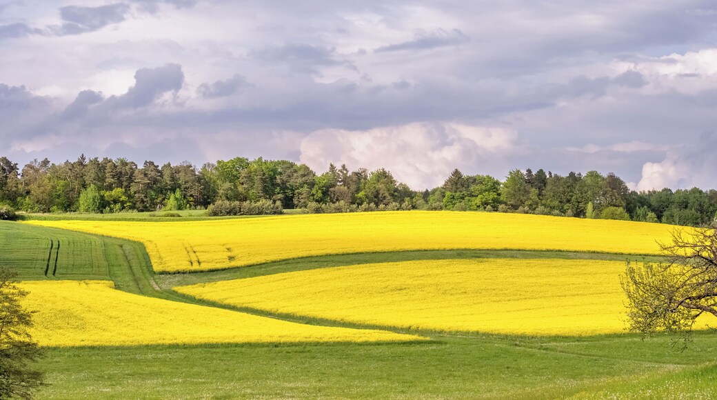 Fields at Reutersbrunn near Ebern