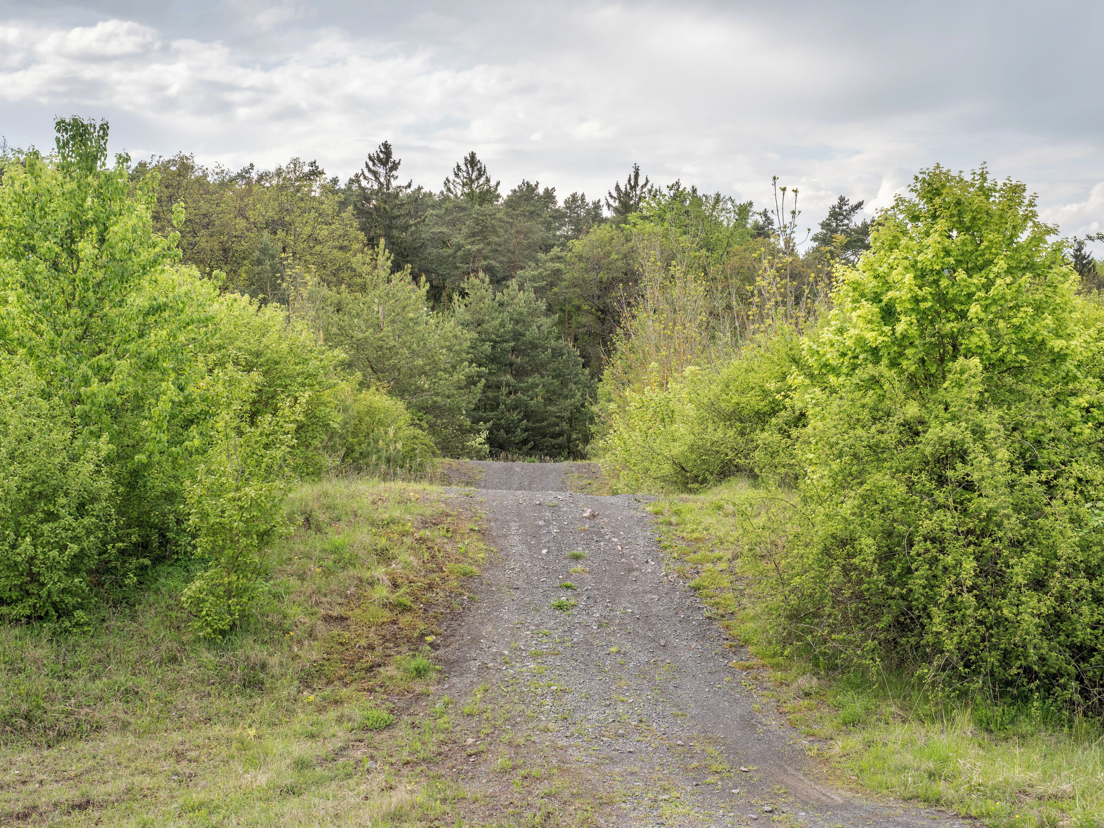 This is a picture of the protected area listed at WDPA under the ID