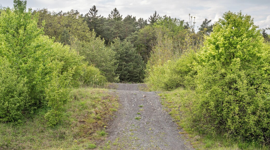 This is a picture of the protected area listed at WDPA under the ID