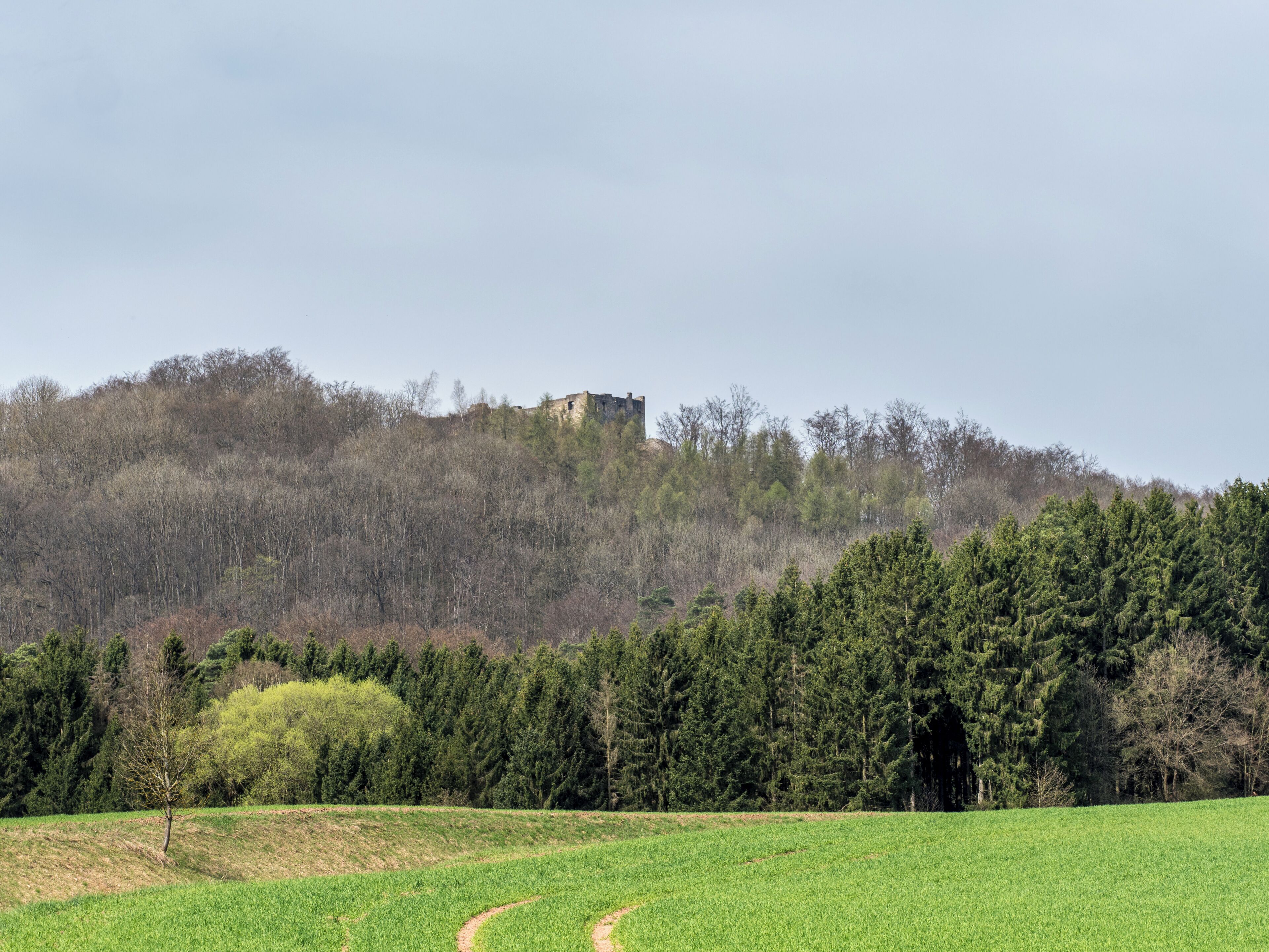 Bramberg ruin seen from the southeast