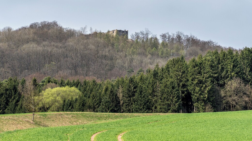 Bramberg ruin seen from the southeast