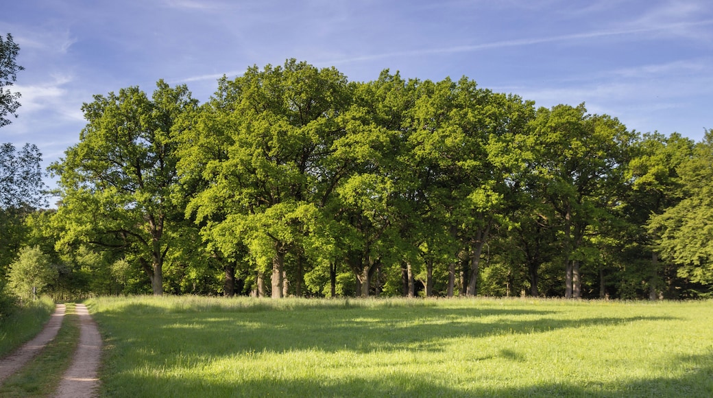 Anger, LSG Ausweisung des LSG Sรผdlicher Jura mit Moritzberg und Umgebung, Engelthal, Krรถnhof