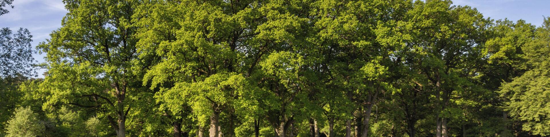 Anger, LSG Ausweisung des LSG Südlicher Jura mit Moritzberg und Umgebung, Engelthal, Krönhof