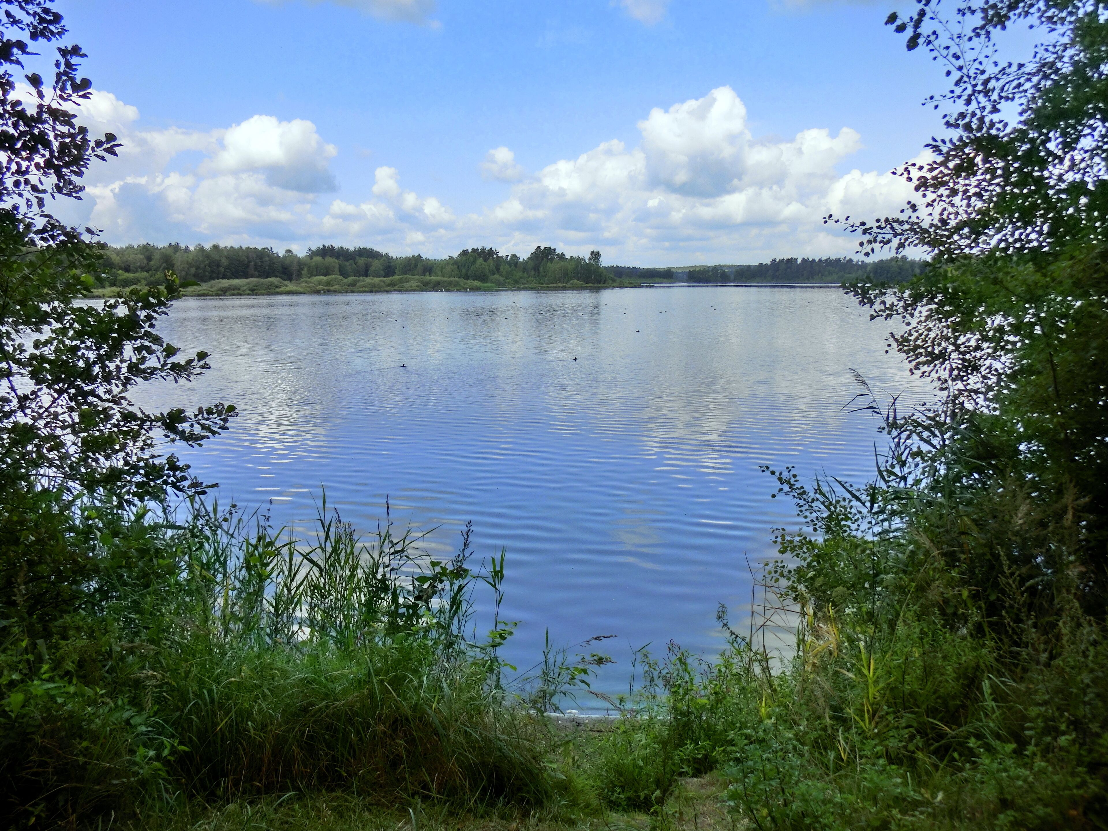 Bank am Großen Rußweiher