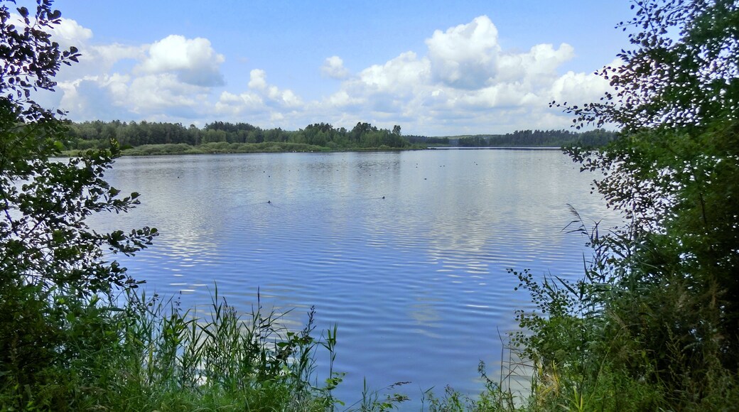 Bank am Großen Rußweiher