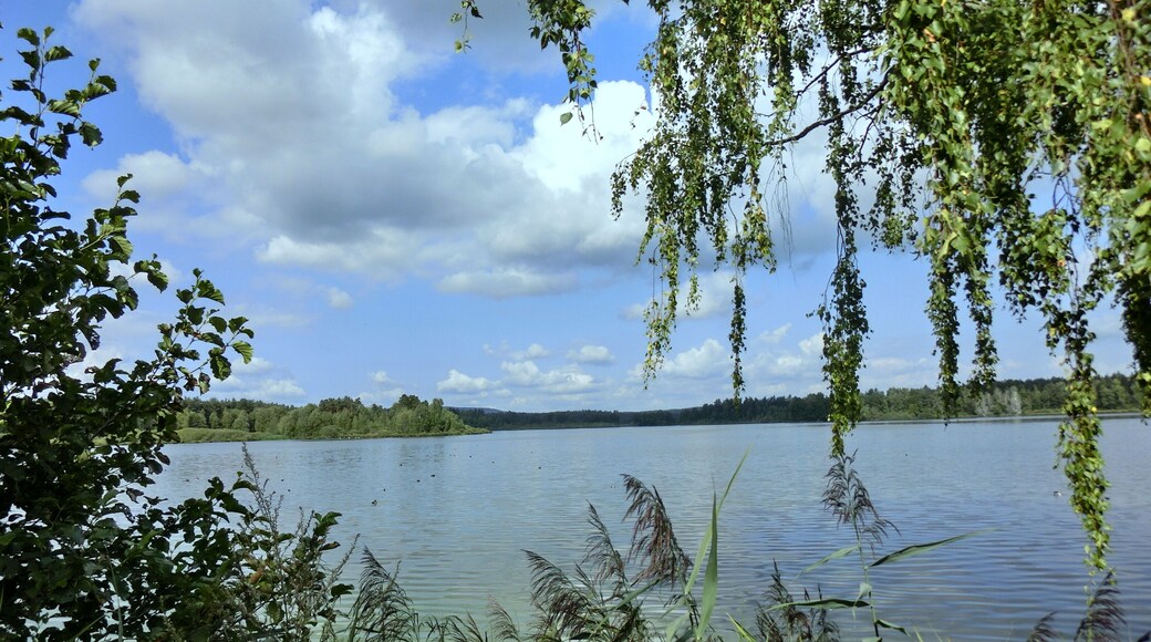 Großer Rußweiher 2