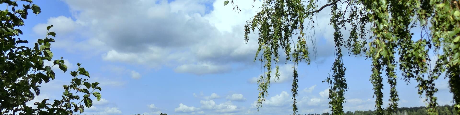 Großer Rußweiher 2